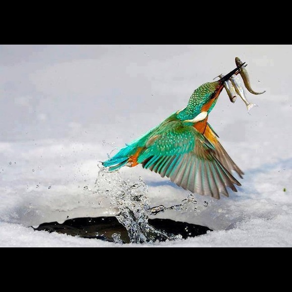 🌍five star seller - check my love notes - Picture 10 of 16